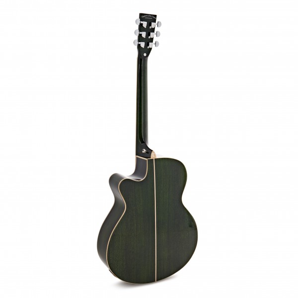 Tanglewood TW4-E-FG Winterleaf, Green Gloss