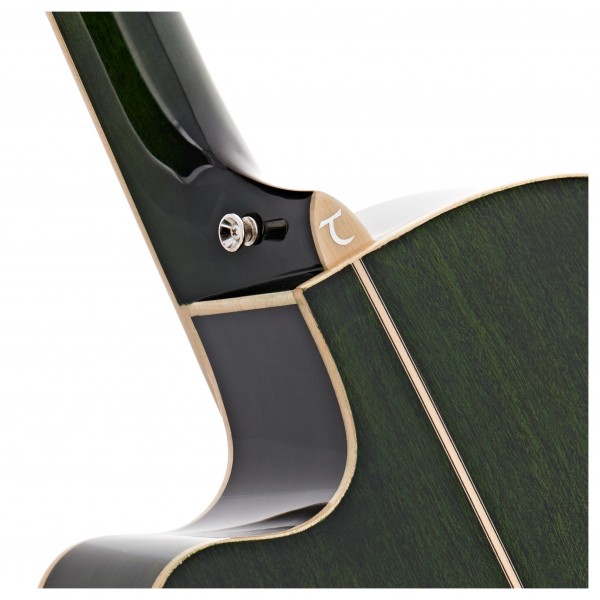 Tanglewood TW4-E-FG Winterleaf, Green Gloss