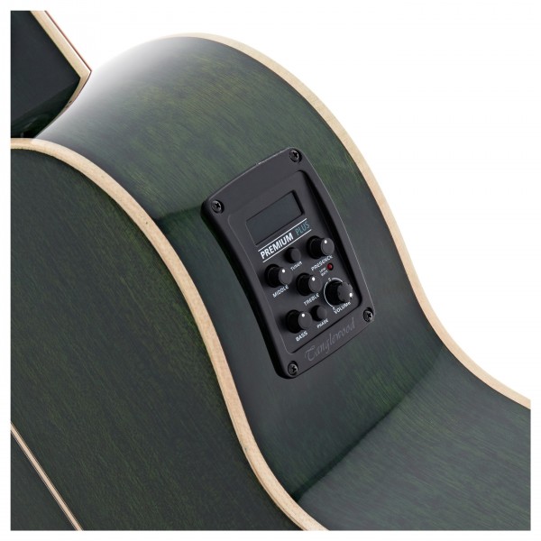 Tanglewood TW4-E-FG Winterleaf, Green Gloss
