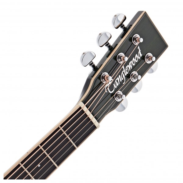 Tanglewood TW4-E-FG Winterleaf, Green Gloss