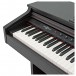 DP-20 Digital Piano by Gear4music logo