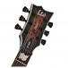 ESP LTD EC-1000, Black Natural Burst