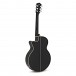 Washburn Festival EA10 Electro Acoustic, Black