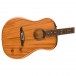 Fender Highway Series Dreadnought Electro Acoustic RW, All-Mahogany - Body