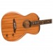 Fender Highway Series Parlor Electro Acoustic RW, All-Mahogany - Body