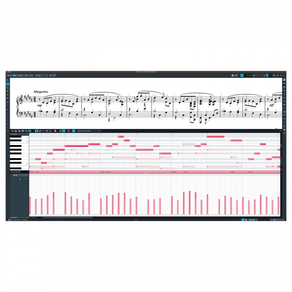 Steinberg Dorico Pro 5 Education - Boxed Copy at Gear4music