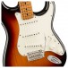 Fender Ltd Edition Player Stratocaster Roasted MN, 3-Color Sunburst - Pickups