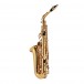Jupiter JAS700 Alto Saxophone - Back