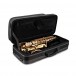 Jupiter JAS700 Alto Saxophone - Case Open