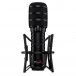 Rode X XDM-100 USB Microphone - With Windscreen and Shock Mount