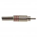 Stagg Male RCA Plug, Nickel/Red