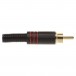 Stagg Male RCA Plug, Black/Red