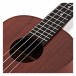 Luna Mo'o Lizard Mahogany Tenor Ukulele Pack