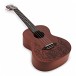 Luna Mo'o Lizard Mahogany Tenor Ukulele Pack