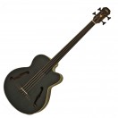 Aria FEB-F2M/FL Medium Scale Fretless Bass, Stained Black - Nearly New