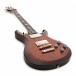 PRS S2 McCarty 594, Violin Amber SB #2067030 + Free PRS Horsemeat