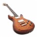 PRS S2 McCarty 594, Violin Amber SB #2066657 + Free PRS Horsemeat