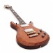 PRS S2 McCarty 594, Violin Amber SB #2067126 + Free PRS Horsemeat