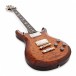 PRS S2 McCarty 594, Violin Amber SB #S2066600 + Free PRS Horsemeat