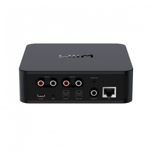 WiiM Pro Audiophile Grade Multi-Room Music Streamer, Rear View