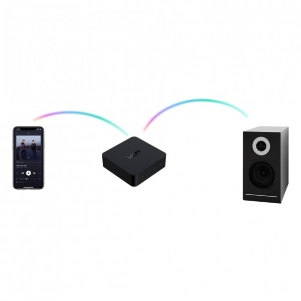 WiiM Pro Audiophile Grade Multi-Room Music Streamer Setup Example