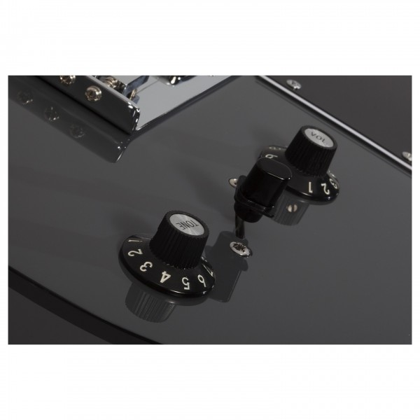 Schecter PT EX, Dorian Gray - Controls