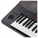 Korg Pa700 Professional Arranger Keyboard