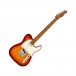 Fender Ltd Ed Player Telecaster, Roasted Maple Neck, Sienna Sunburst - Front