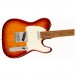 Fender Ltd Ed Player Telecaster, Roasted Maple Neck, Sienna Sunburst - Body