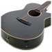 Tanglewood TW4-E-FG Winterleaf, Green Gloss