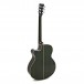 Tanglewood TW4-E-FG Winterleaf, Green Gloss