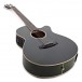 Tanglewood TW4-E-FG Winterleaf, Green Gloss