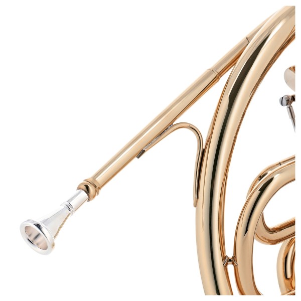 Student French Horn by Gear4music, Gold (FH-100)