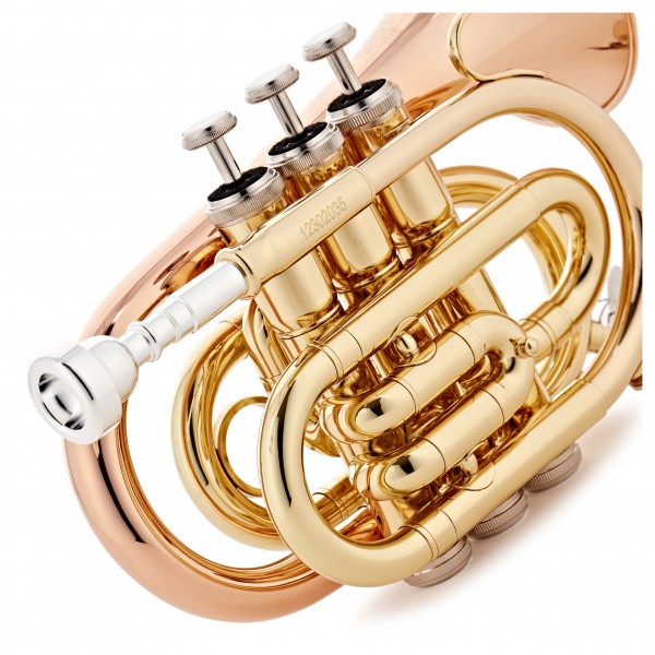 Roy Benson PT101G Pocket Trumpet, Gold Brass Bell