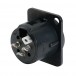 Neutrik 3-Pin XLR Mounting Plug, Black - Rear