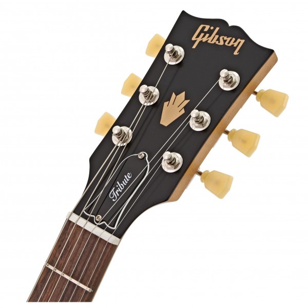 たぬき 希少 - Walnut Natural Tribute, SG Gibson Ex Gear4music | Demo ギター