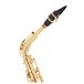 Selmer Paris Axos Alto Saxophone Outfit, Gold Lacquer