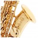 Selmer Paris Axos Alto Saxophone Outfit, Gold Lacquer