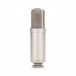 NTK Valve Microphone, Silver - Angled